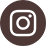 Instagram Icon