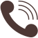 Telefone Icon